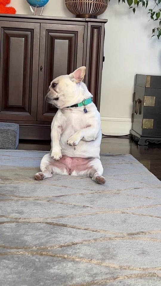 Post 5 by Alan Canas on TikTok (video)