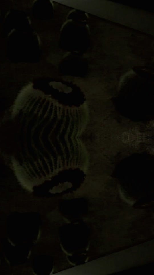 Post 6 by DJ Lancia on TikTok (video)