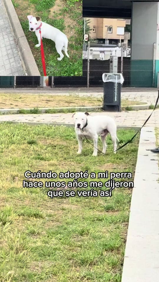 Post 6 by Sito Vinuesa on TikTok (video)