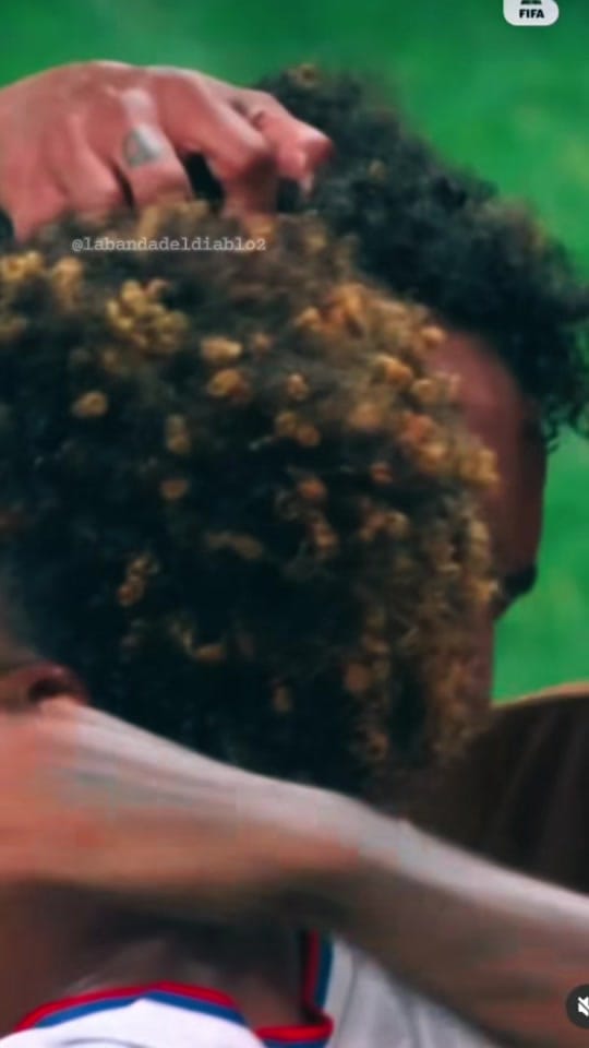 Post 7 by La Banda Del Diablo on TikTok (video)