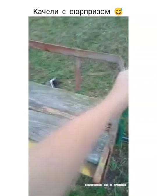 Post 8 by Тгк:~𝓑𝓾𝓷𝓴𝓮𝓻 "𝓢𝓱𝓲𝓡"~ on TikTok (video)