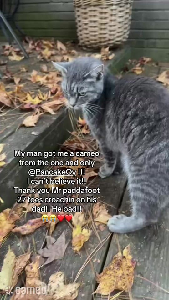Post 5 by Blayke on TikTok (video)