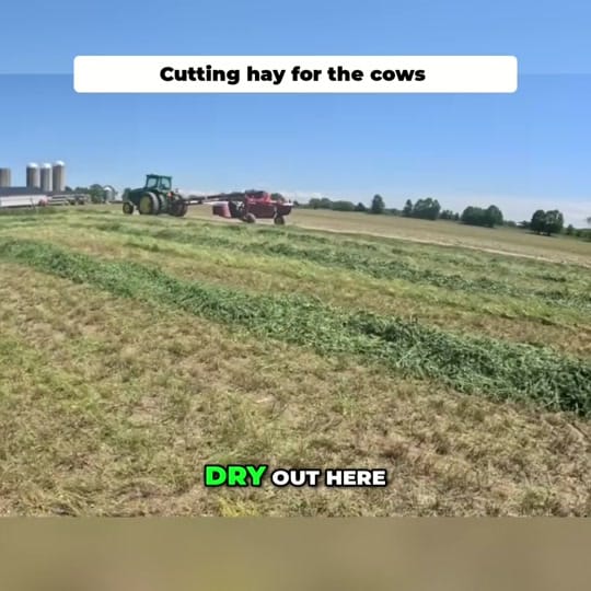 Post 7 by Kip Siegler Farming on TikTok (video)