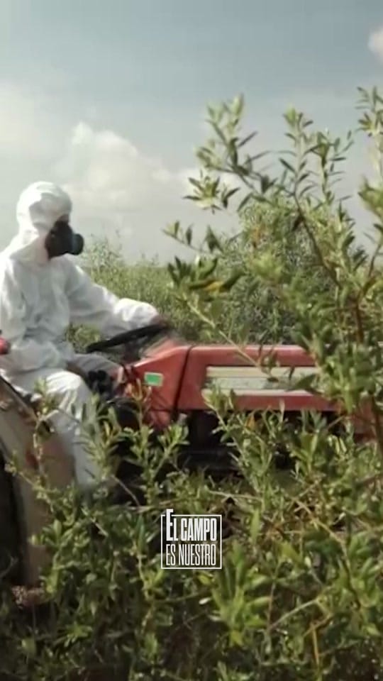 Post 1 by El campo es nuestro on TikTok (video)