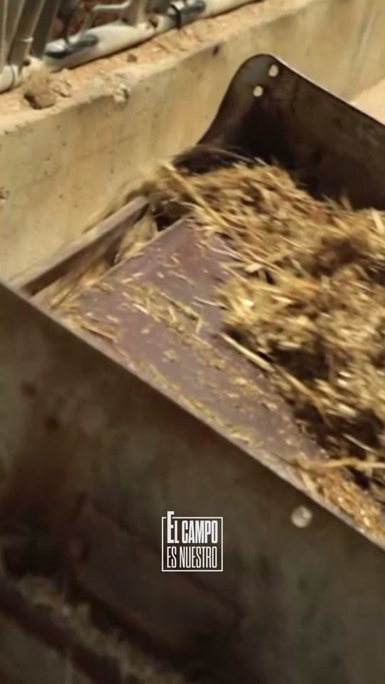 Post 10 by El campo es nuestro on TikTok (video)