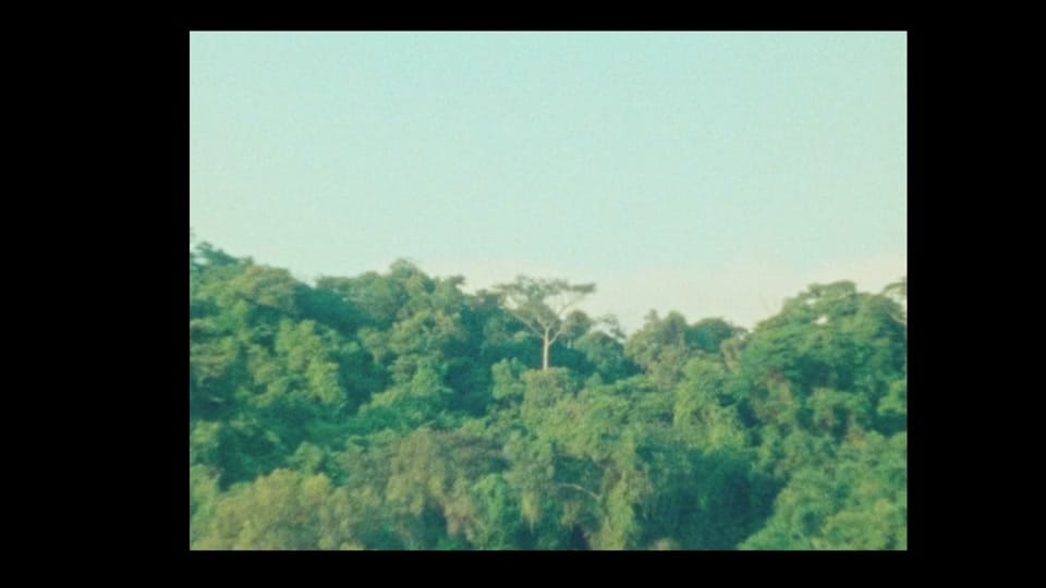 Post 7 by Invigo on TikTok (video)