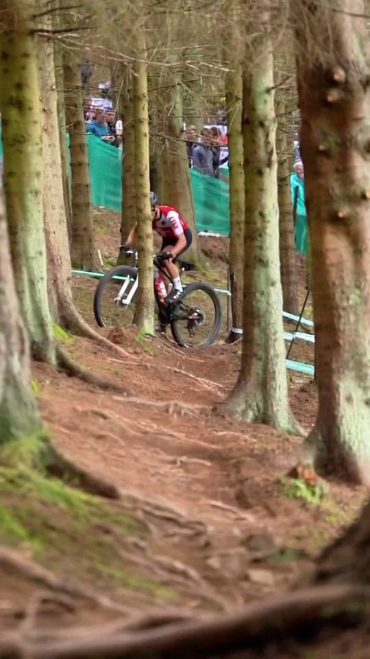 Post 3 by Bikeshop_Pacheco Bga on TikTok (video)