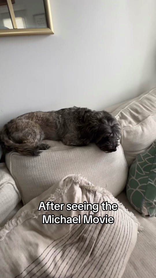 Post 5 by BIANCA on TikTok (video)