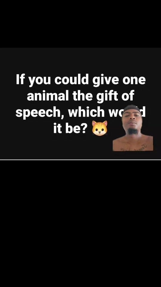 Post 3 by Ringleader on TikTok (video)