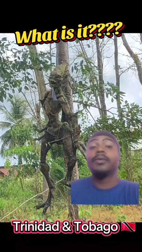 Post 10 by Ringleader on TikTok (video)