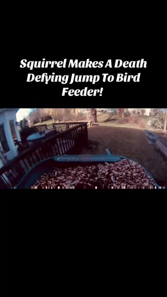 Post 7 by Jose Quintino on TikTok (video)