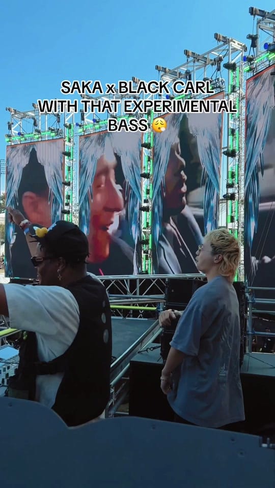 Post 2 by Electric Zoo on TikTok (video)