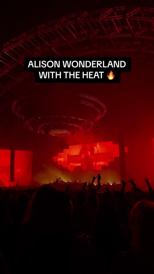 Post 7 by Electric Zoo on TikTok (video)