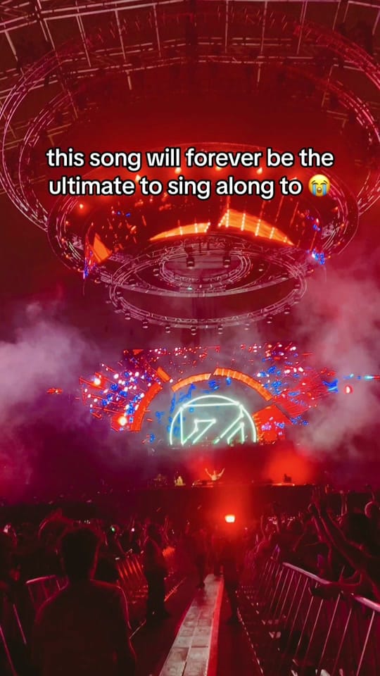 Post 4 by Electric Zoo on TikTok (video)
