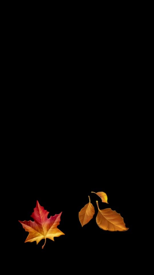 Post 7 by TheMountain on TikTok (video)