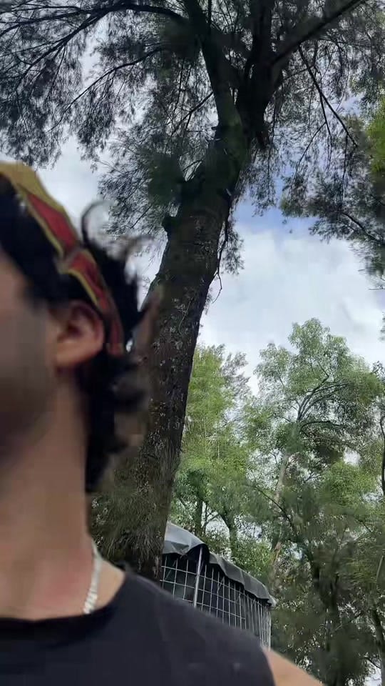 Post 6 by Denil Navarrete on TikTok (video)
