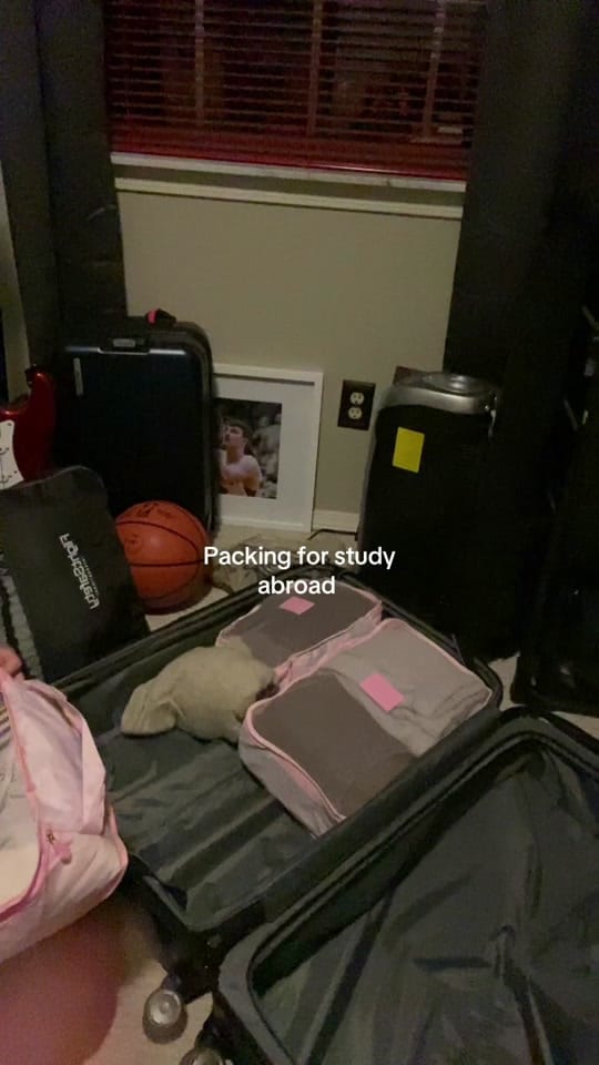 Post 4 by Dani Nicole on TikTok (video)
