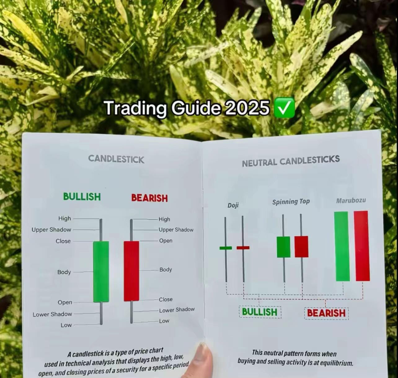 Post 3 by PrincipeTrader on TikTok (video)
