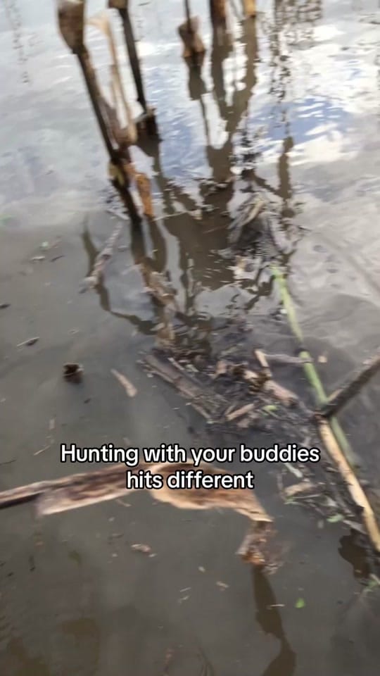 Post 8 by Duggie C on TikTok (video)