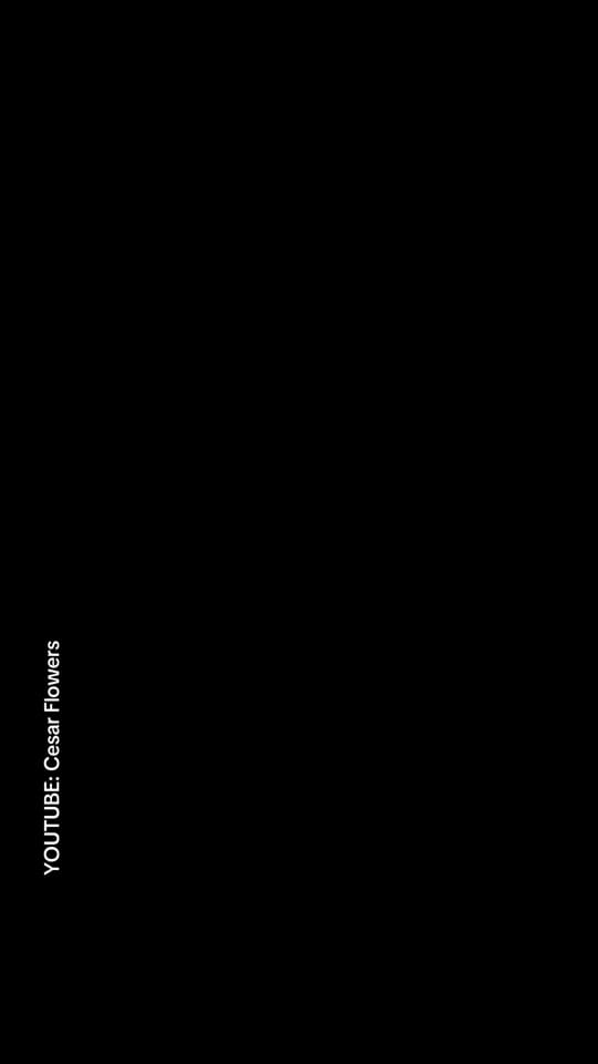 Post 1 by Cesar Flowers on TikTok (video)