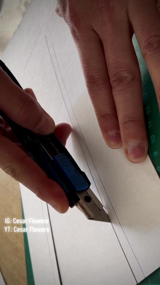 Post 4 by Cesar Flowers on TikTok (video)