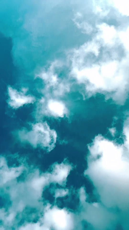 Post 9 by Bill Dotson on TikTok (video)