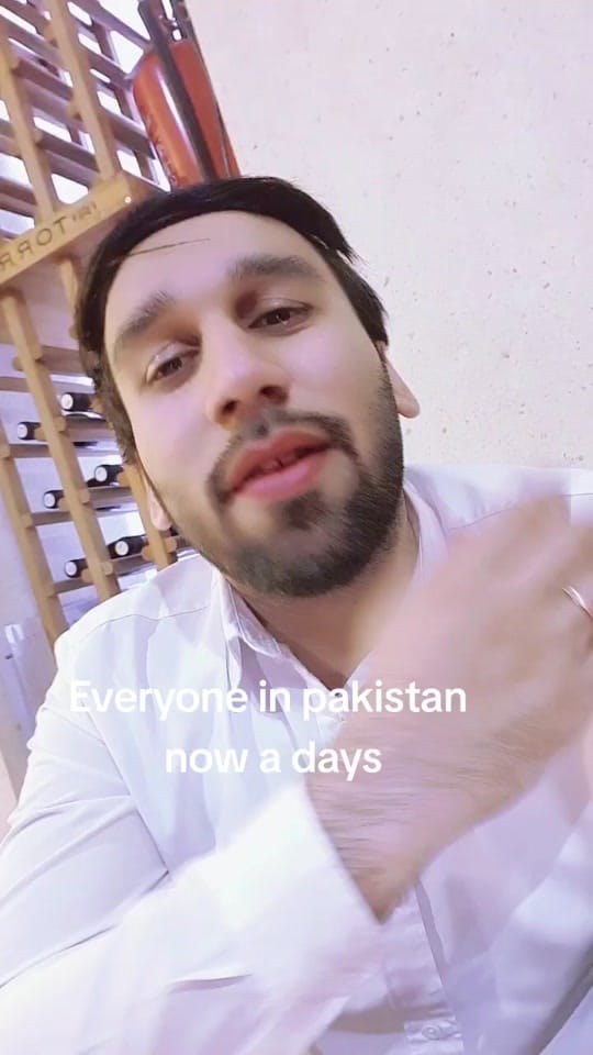 Post 4 by Lahoriguy on TikTok (video)