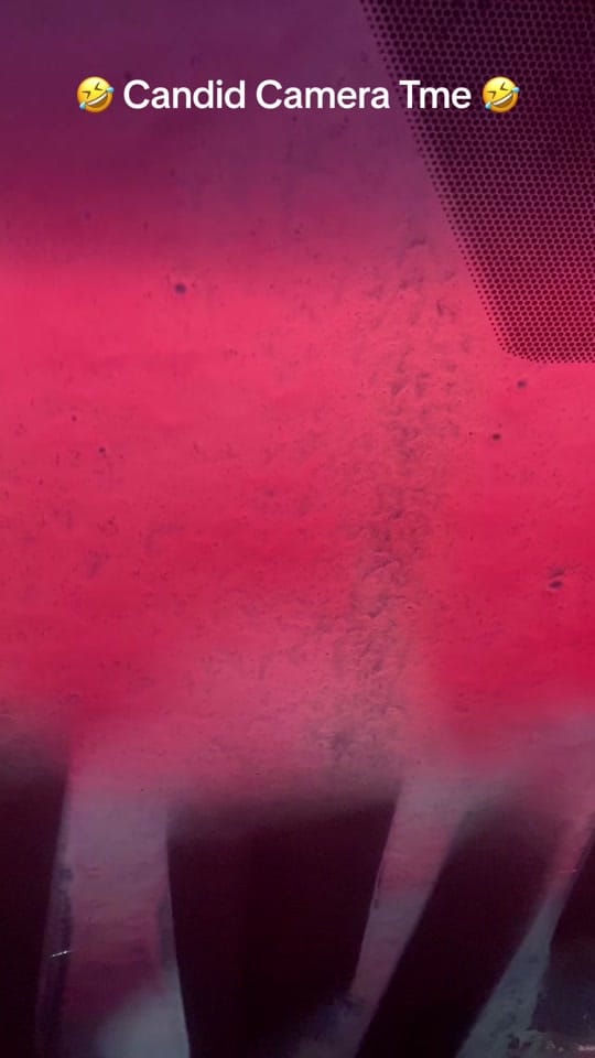 Post 6 by Donna Golden Lestenkof on TikTok (video)
