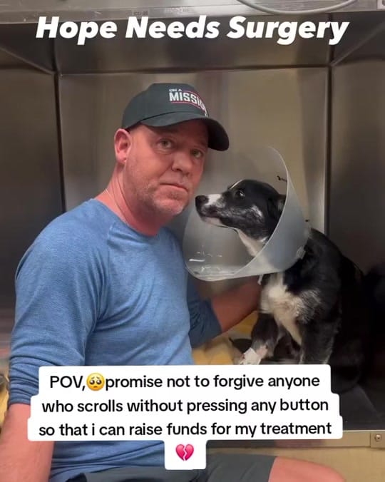 Post 3 by Paws Pal Rescue Welfare on TikTok (video)