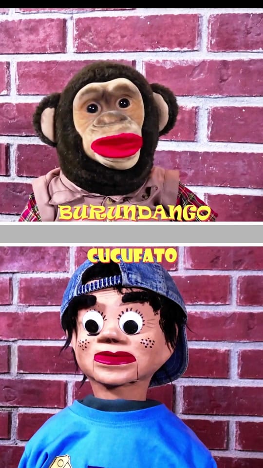 Post 5 by Oscar Burgos on TikTok (video)