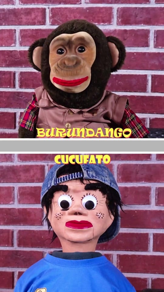 Post 7 by Oscar Burgos on TikTok (video)