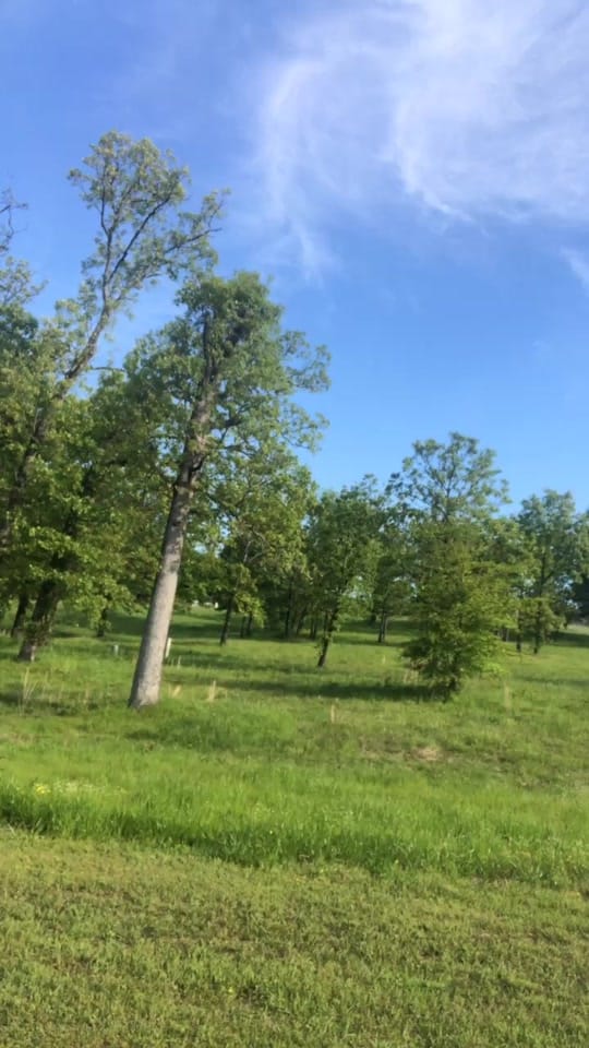 Post 10 by Cory Crane on TikTok (video)