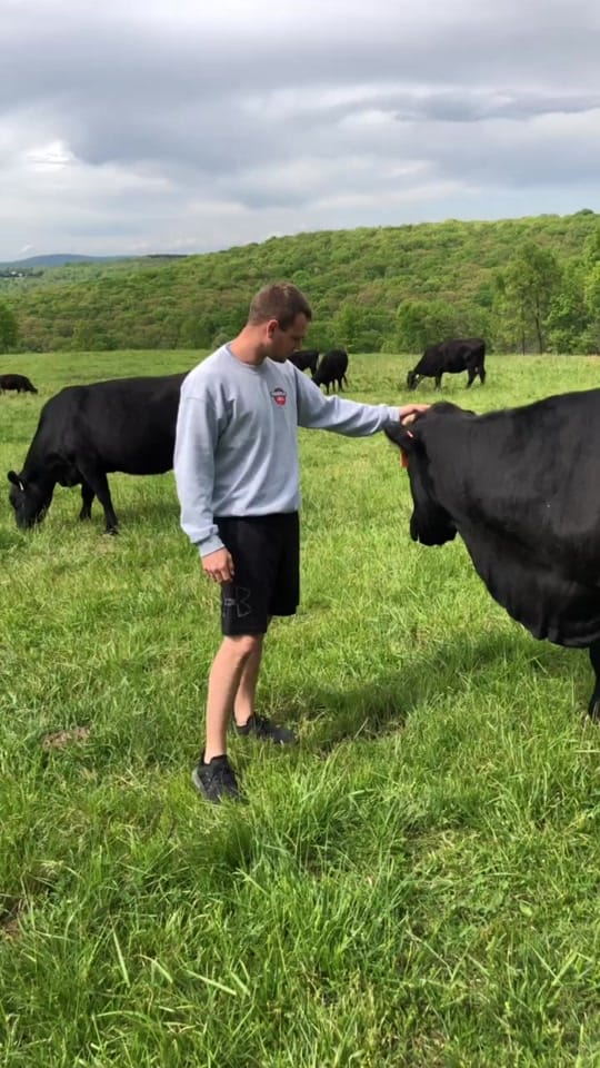 Post 9 by Cory Crane on TikTok (video)