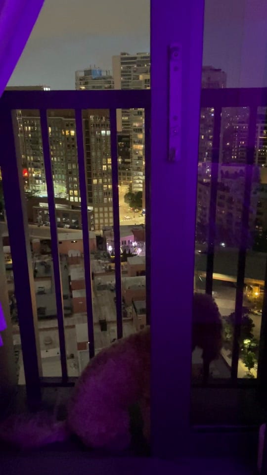 Post 7 by Haley Hecktman on TikTok (video)