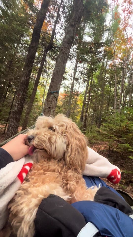Post 1 by Haley Hecktman on TikTok (video)