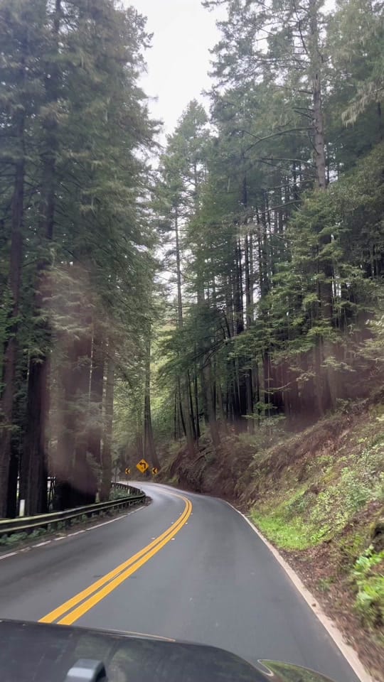 Post 5 by Haley Hecktman on TikTok (video)
