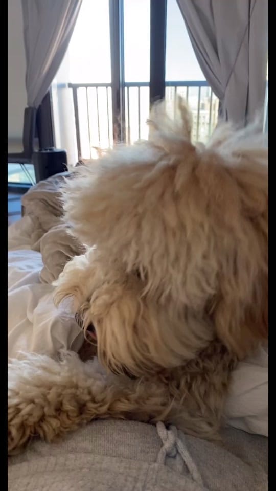 Post 10 by Haley Hecktman on TikTok (video)