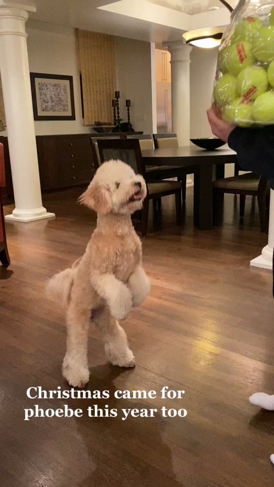 Post 8 by Haley Hecktman on TikTok (video)