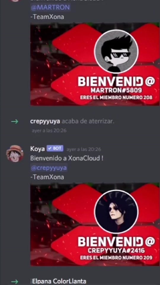 Post 4 by Xona Gamex on TikTok (video)