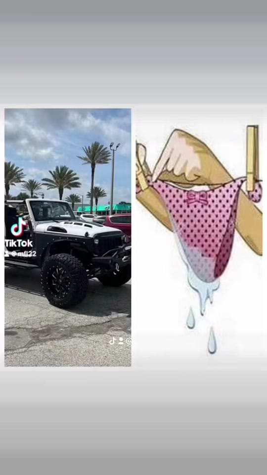 Post 8 by MFL on TikTok (video)