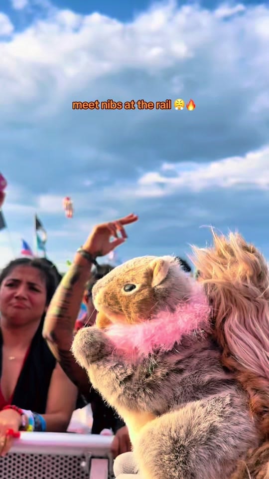 Post 6 by Forbidden Kingdom Music Fest on TikTok (video)
