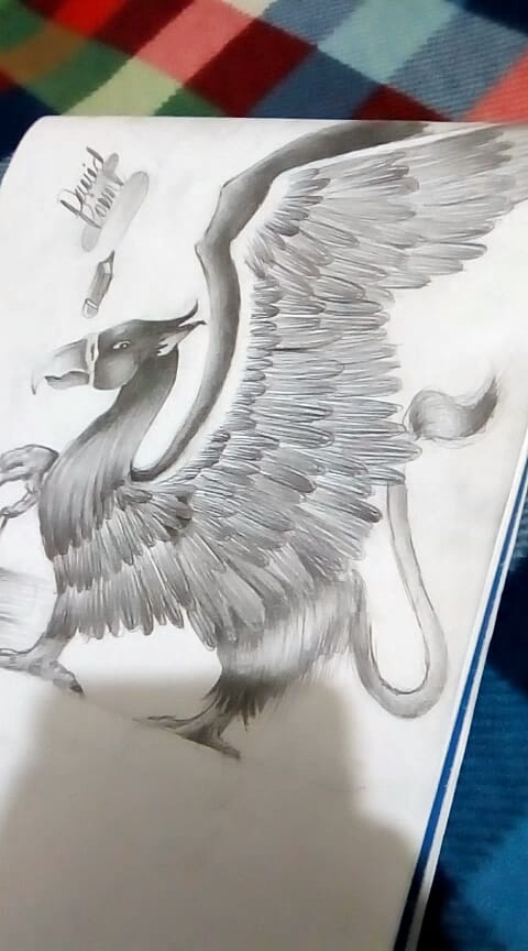 Post 6 by Bryan David Obando on TikTok (video)