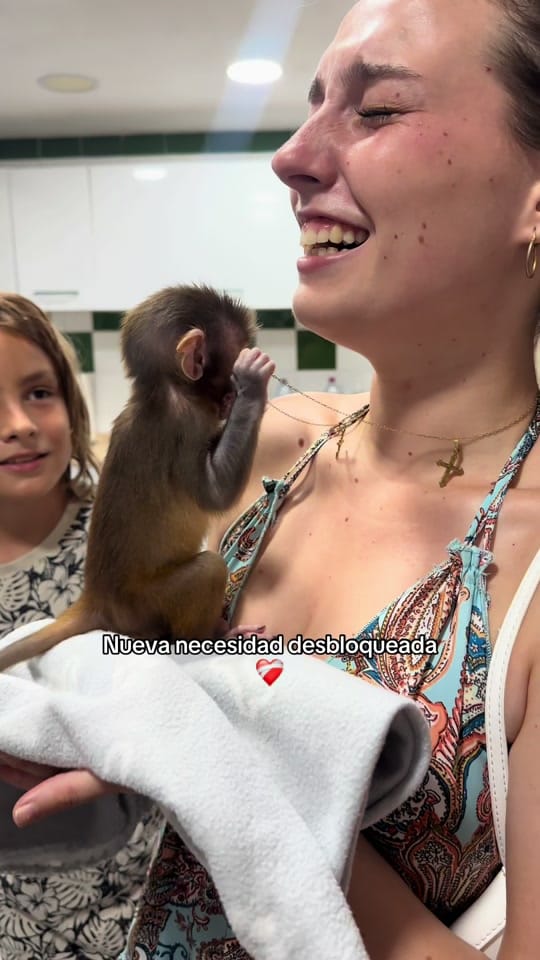 Post 8 by tuyoyelmundo on TikTok (video)