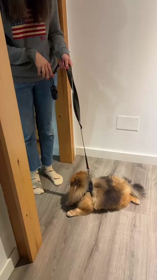 Post 3 by Nana Poveda ✨ on TikTok (video)