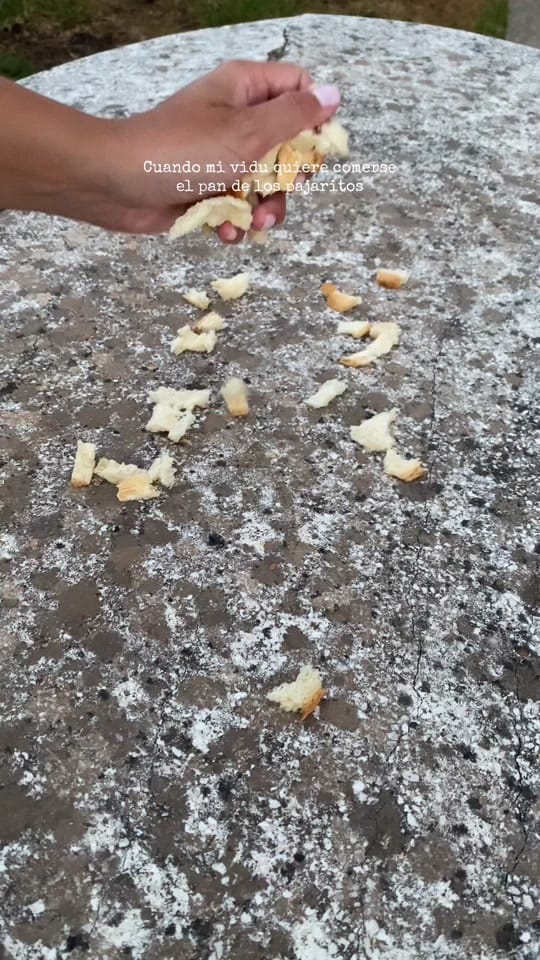 Post 4 by Nana Poveda ✨ on TikTok (video)