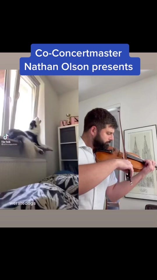 Post 10 by Dallas Symphony Orchestra on TikTok (video)