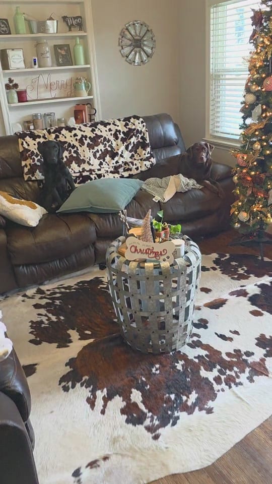 Post 6 by Bryanna Fuquea on TikTok (video)