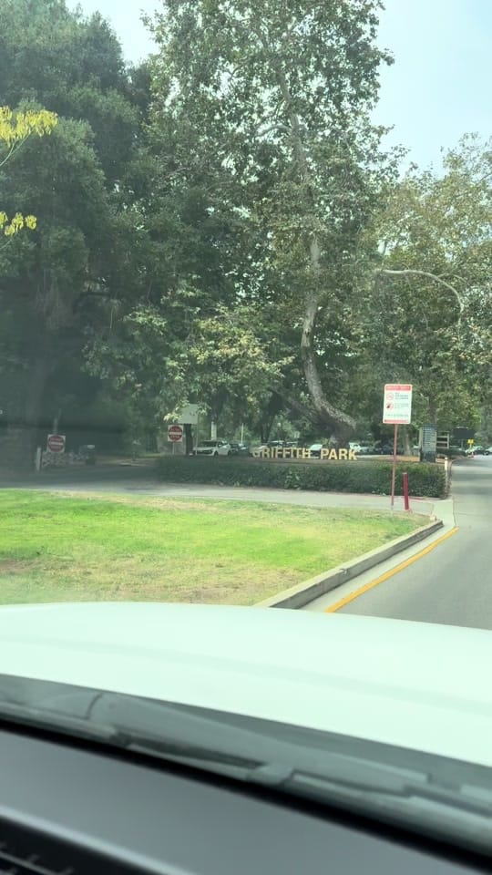 Post 3 by Lyly Fer on TikTok (video)
