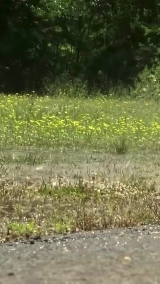Post 1 by Cori Kennedy on TikTok (video)
