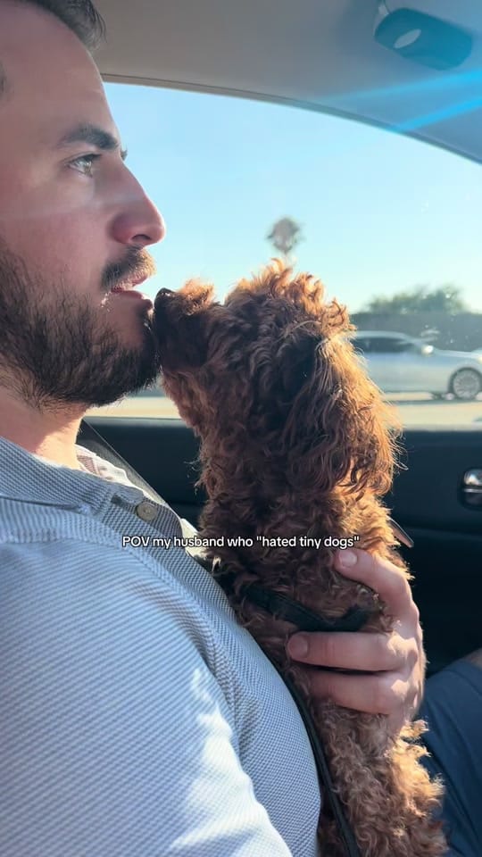 Post 5 by ashleighmgallagher on TikTok (video)